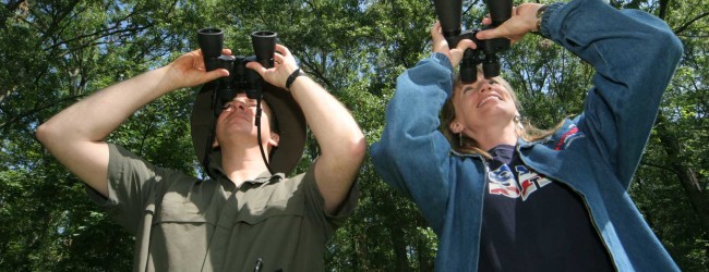 Il birdwatching fa tappa a Margherita di Savoia