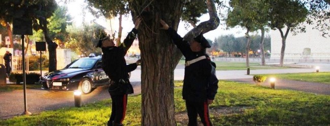 Barletta –  Hashish e marijuana nei giardini del castello, in arresto 5 pusher