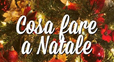 Bat – Cosa fai a Natale?