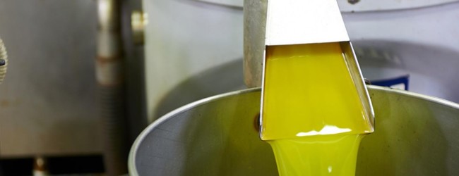 Puglia – Operazione “Mamma mia”: sequestrate oltre 2000 tonnellate di falso olio made in Italy