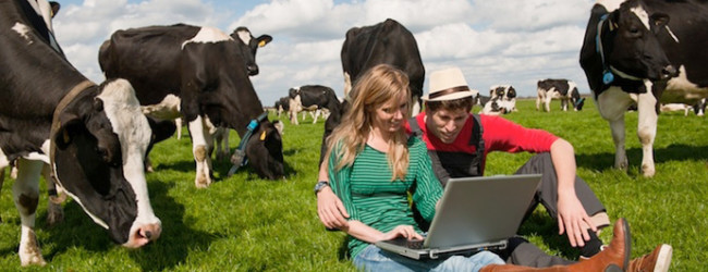 Settore agricolo – Leggera crescita delle aziende agricole giovanili e a conduzione femminile