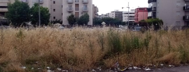 Trani – Parco di via polonia, la prossima settimana apre il cantiere