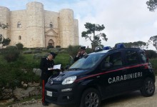 Andria – Facevano razzia di cartelli stradali per costruirci un gazebo. arrestati in tre, tra cui una donna.