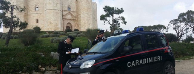 Andria – Facevano razzia di cartelli stradali per costruirci un gazebo. arrestati in tre, tra cui una donna.