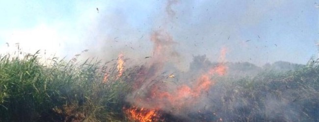 Trani – incendio in contrada Monte d’Alba