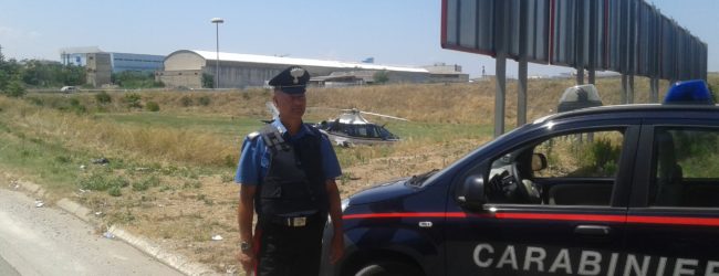 Andria e Minervino Murge – Controlli dei Carabinieri: 4 arresti e diversa droga sequestrata