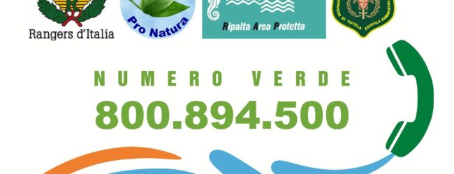 Progetto Numero Verde: giugno-settembre piu di 300 segnalazioni