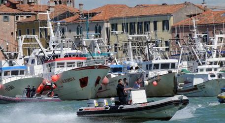 Fermo pesca in tutto l’Adriatico