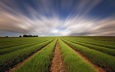 Trani – Rete Rurale, bandito il concorso di idee per l’innovazione nell’agricoltura del Sud