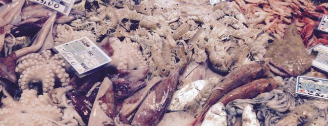 Sulla tavola di Natale abbondano pesce e frutti di mare