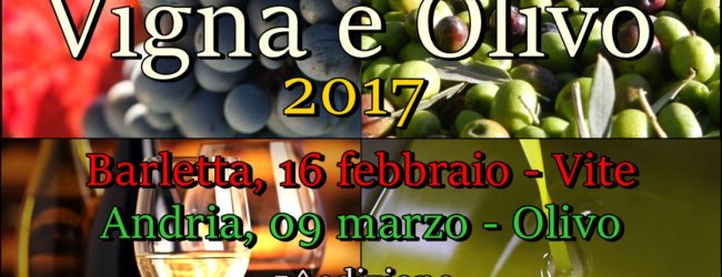 Vigna e Olivo 2017: al via doppio evento dedicato alla viticoltura e all’olivicoltura