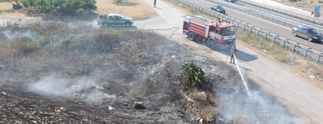 Trani – Incendio sterpaglie, a fuoco anche rifiuti speciali scaricati abusivamente