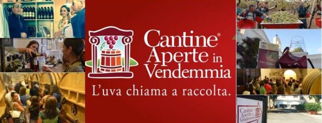 BAT – Domenica Cantine Aperte in Vendemmia