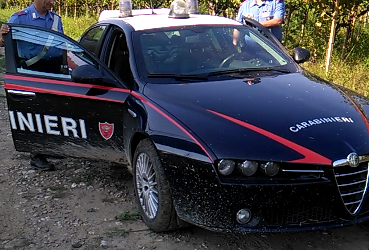 Andria – Beccato  in auto con troppa uva. Arrestato ladro dai carabinieri.