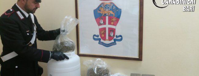 Bisceglie – Sequestrati 11 kg. di sostanze stupefacenti. Arrestato (VIDEO)