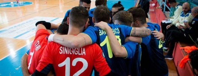 Futsal Bisceglie in cerca di riscatto contro l’Odissea 2000