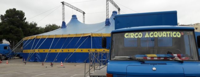 Andria – Dopo il luna park arriva il circo acquatico