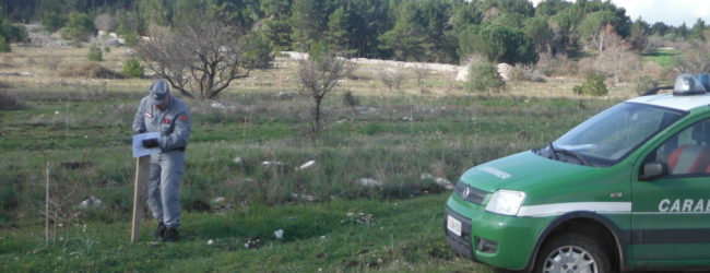 Castel del Monte – Forestale: trasformazione abusiva di un pascolo