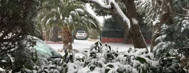 Meteo Bat – Concluso il tira e molla delle amministrazioni: A scuola si va!