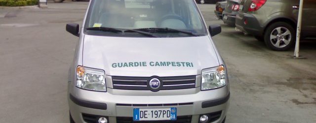 Andria – Il presidente delle Guardie Campestri risponde alla Flai-Cgil