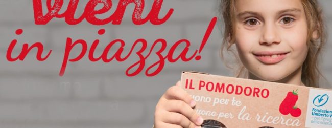 Bat – Il 10 e 11 marzo la Fondazione Veronesi in piazza con i “pomodori per la ricerca”