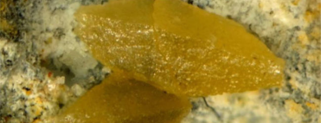 WULFENITE, scoperto raro minerale. C’è anche l’Università di Bari