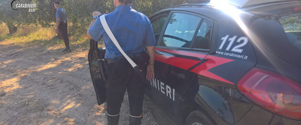 Trani – Furto in un deposito edile in contrada “Puro”. Arrestato