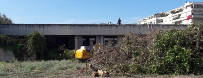 Trani – L’opposizione costruttiva della Barresi: bonificato rudere scuola materna. VIDEO