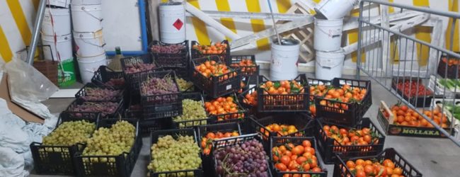 Andria – Sequestrati 6 quintali di frutta venduta abusivamente: sanzionati 3 venditori