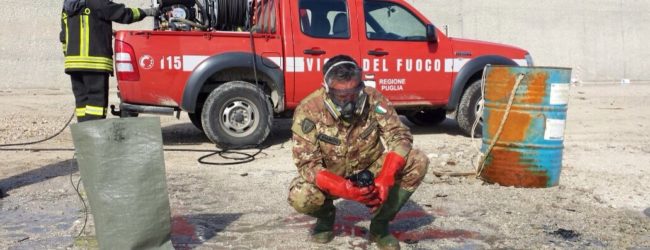 Molfetta – Proseguono le operazioni di trasferimento degli ordigni bellici presenti a ridosso del porto