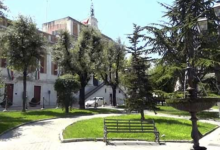 Andria – Piazza Umberto I° (Municipio): interventi sulle querce