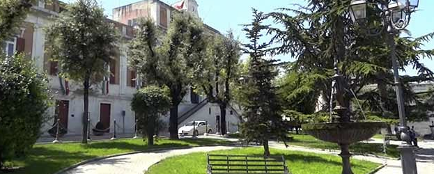 Andria – Piazza Umberto I° (Municipio): interventi sulle querce