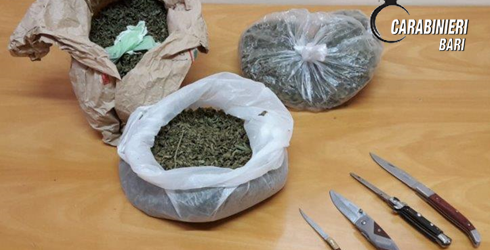 Ubriaco a spasso con coltelli e marijuana