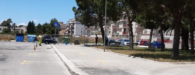 Trani – C’è l’intesa per lo spostamento del mercato settimanale in via Falcone